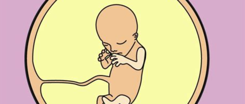 “JD Vance” Says Trump is Adamantly Pro-Abortion